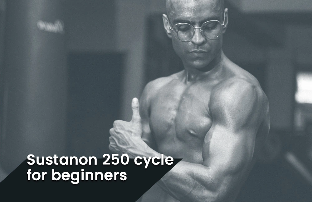 Sustanon 250 beginner cycle