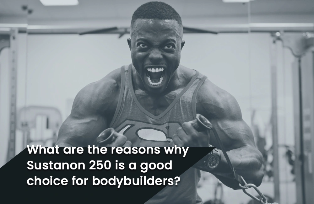 Why choose Sustanon 250