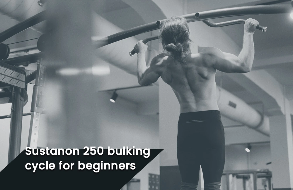 Sustanon 250 bulking cycle