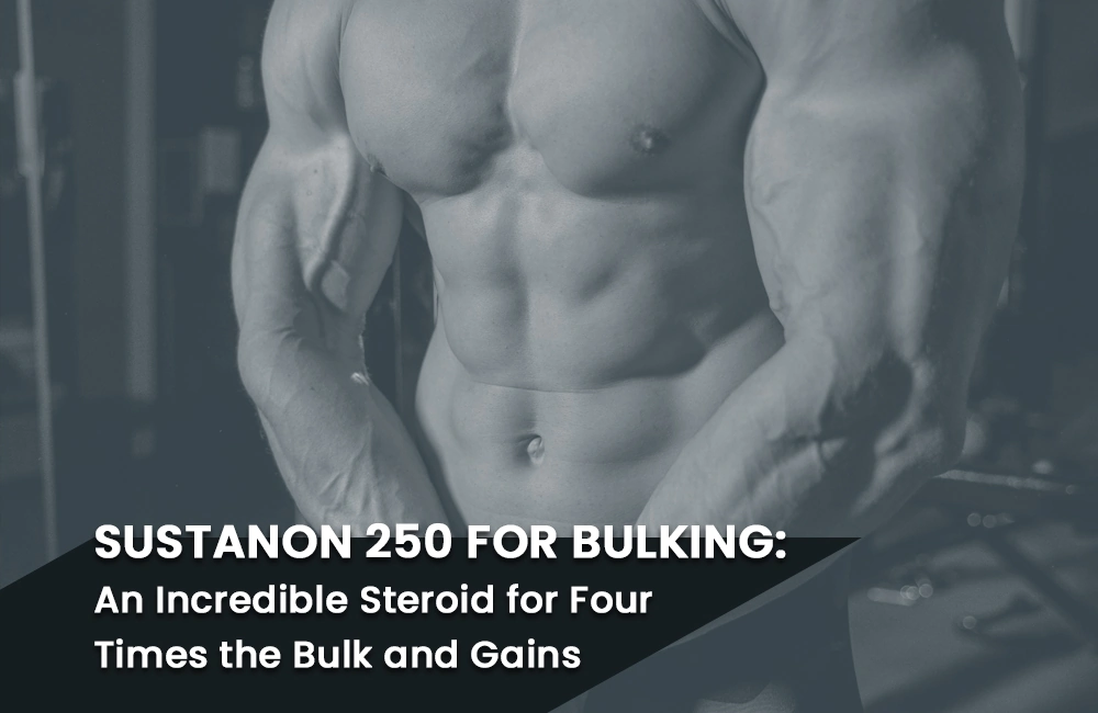Read more about the article Sustanon 250 for Bulking: An Incredible Steroid for Four Times the Bulk and Gains