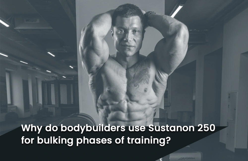 Sustanon 250 for bulking phases