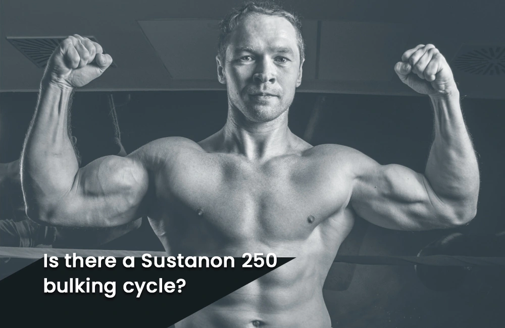 Sustanon 250 bulking cycle