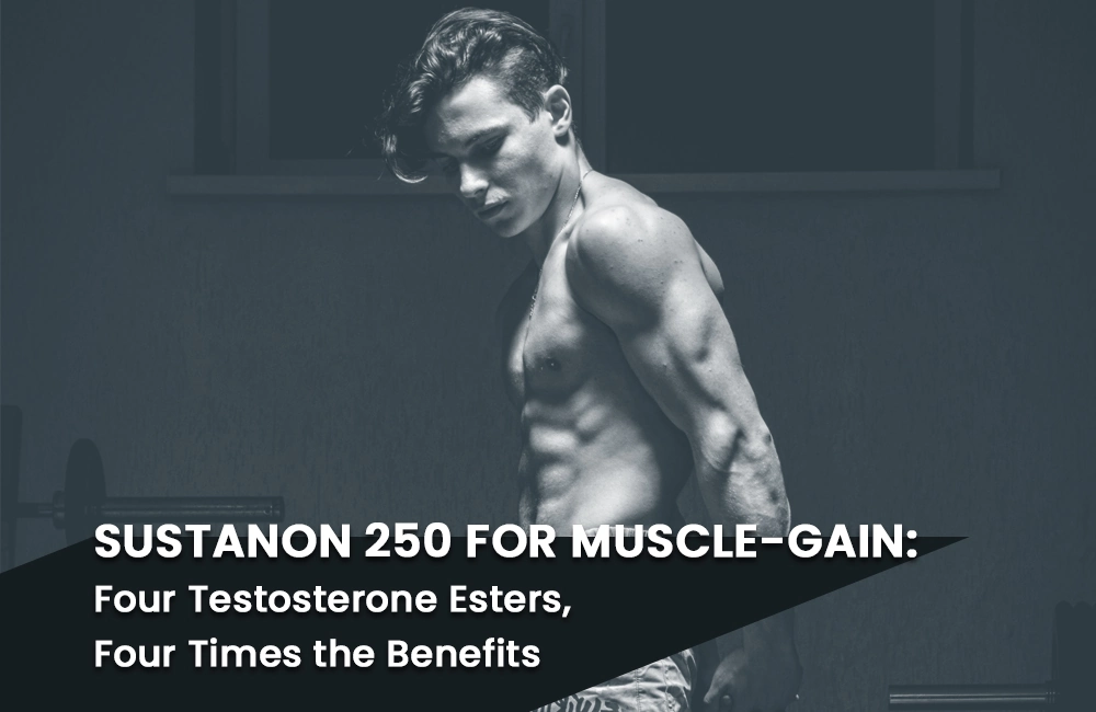 Read more about the article Sustanon 250 for Muscle-Gain: Four Testosterone Esters, Four Times the Benefits