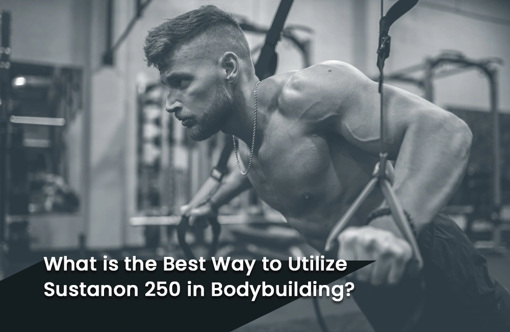 Utilizing Sustanon 250 in bodybuilding